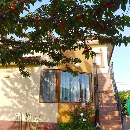 Guest house Maris *